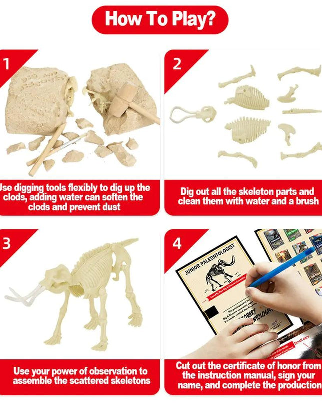 Dinosaur Fossil Excavation Kits Education
