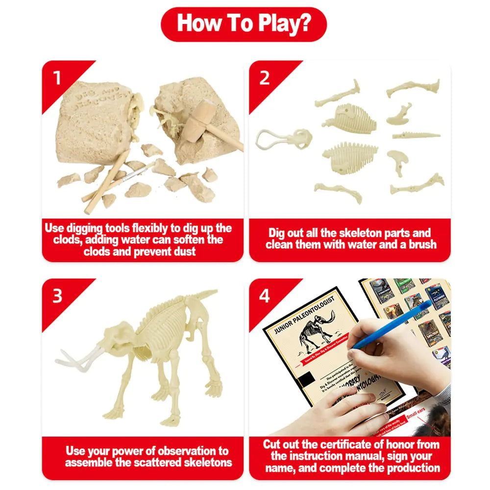 Dinosaur Fossil Excavation Kits Education