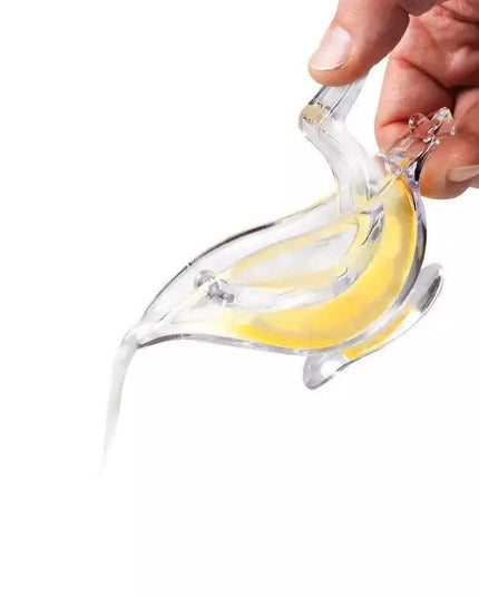 Fruit Mini Manual Juicer