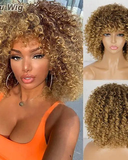 Afro Kinky Curly Wig