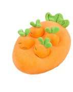 Carrot