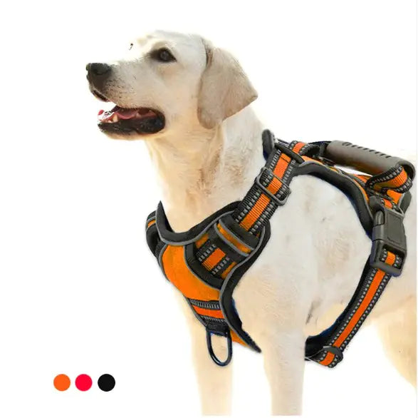 Pet Harness Vest