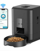 Black WiFi / No Adapter