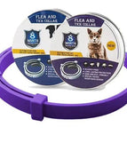 Violet / 63cm For dogs