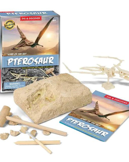 Dinosaur Fossil Excavation Kits Education