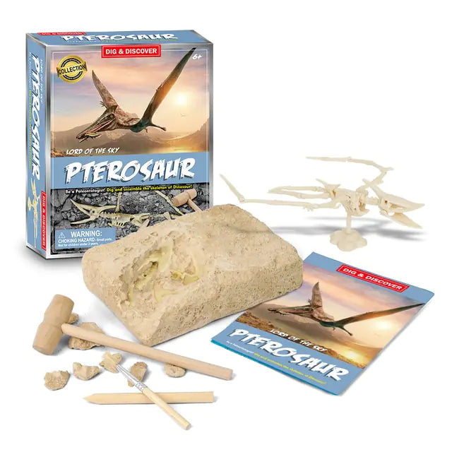 Dinosaur Fossil Excavation Kits Education