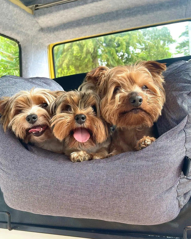 Pet Travel Bed
