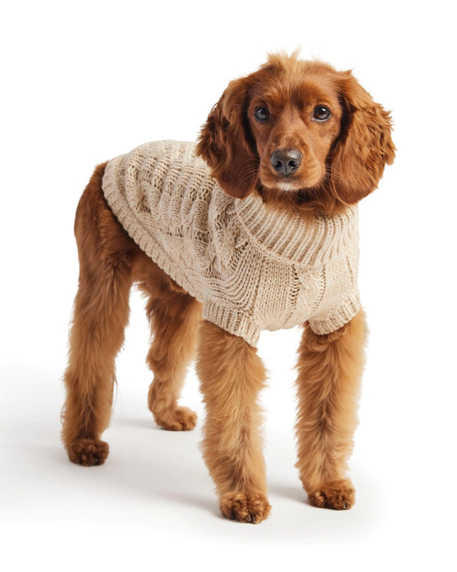 Chalet Dog Sweater