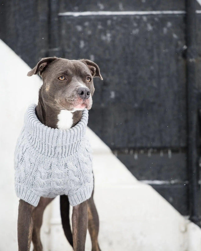 Chunky Dog Sweater