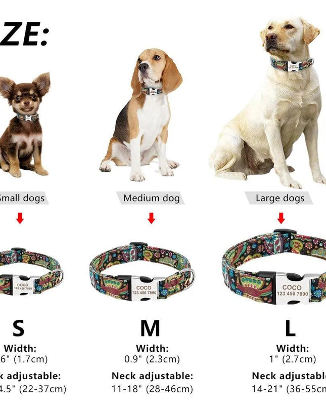 Dog Tag Collar Adjustable