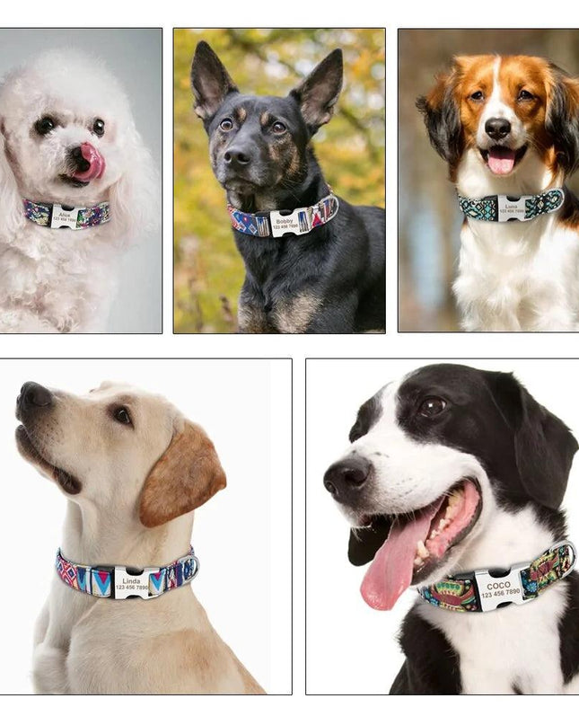 Dog Tag Collar Adjustable