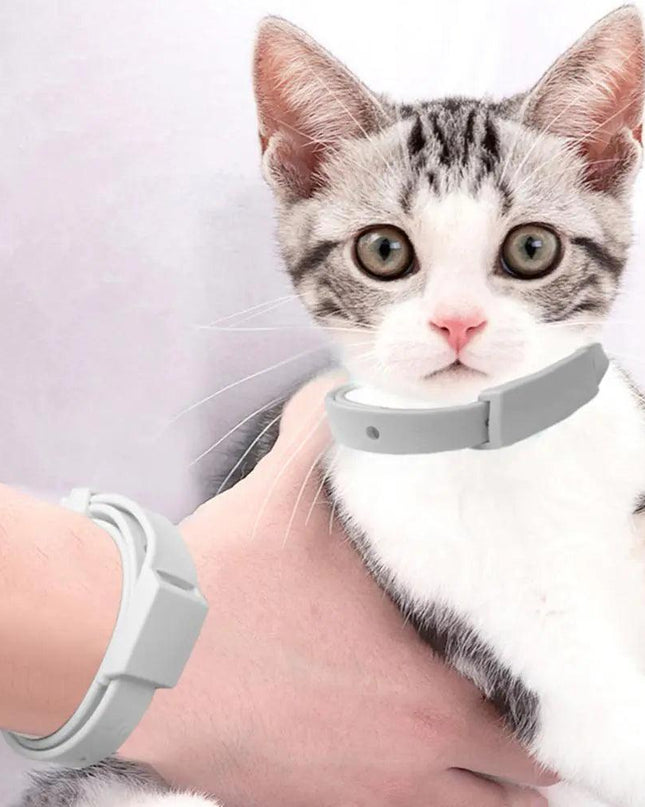 Tick Repellent Pet Collar