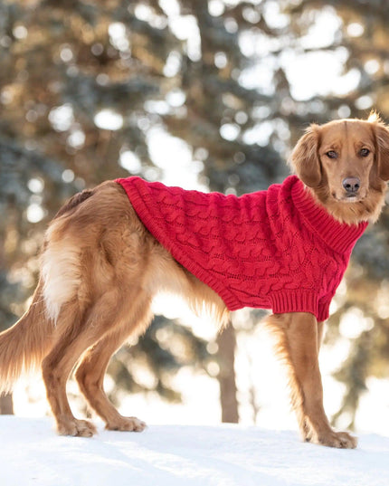 Red Chalet Dog Sweater