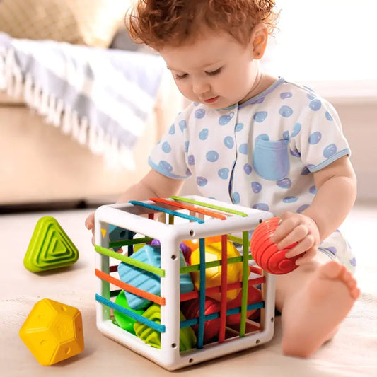 Sorting Game Colorful Shape Blocks